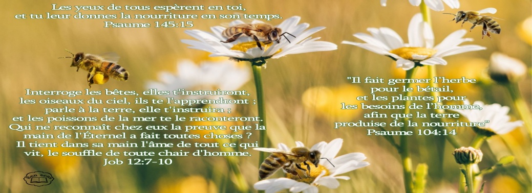 Mug à texte - La danse de la vie – Image 3