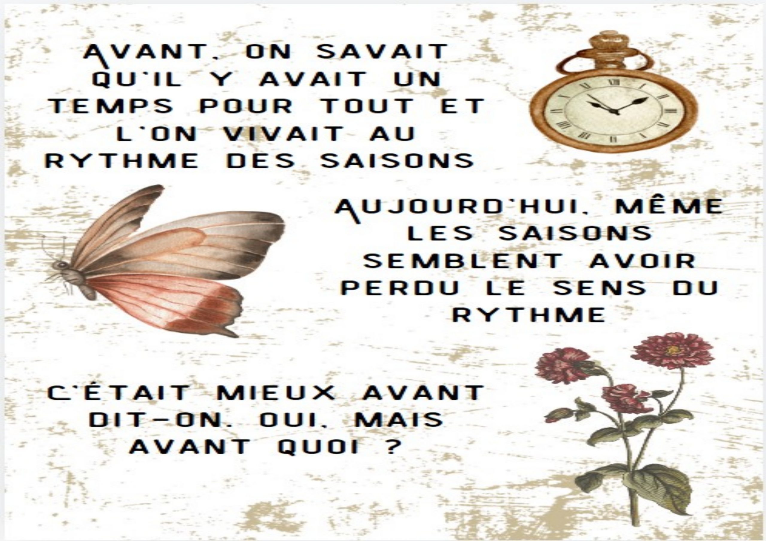 Puzzle - Le sens du rythme – Image 2